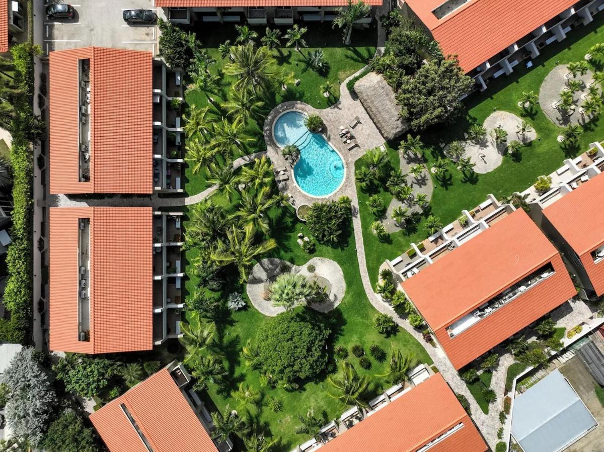 Eagle Beach Luxury House, Walking Distance To The Beach Palm Beach Eksteriør billede
